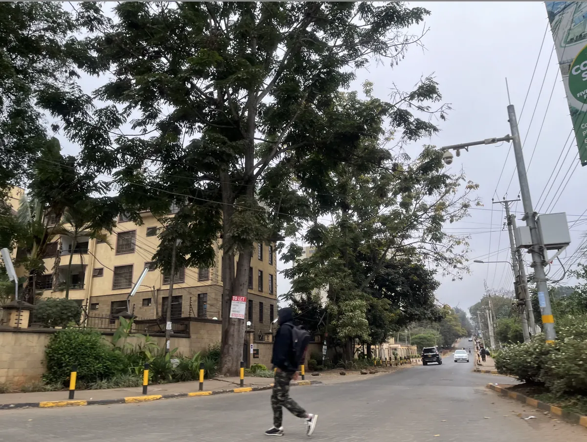 Leafy residential street in Westlands, Nairobi